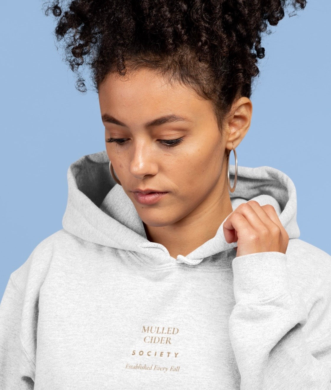 Mulled Cider Society Hoodie — Established Every Fall